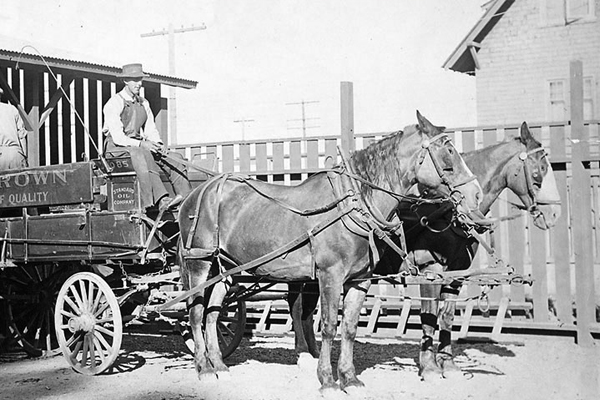 In this 1915 photo, a horse-drawn wagon loaded up at Standard Oil Co.