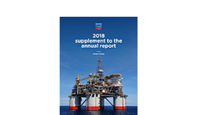 2018 Supplement to the annual report