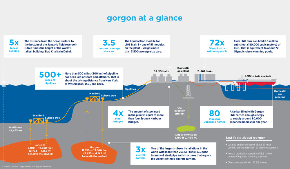 gorgon by the numbers infographic