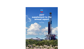 2017 Supplement to the annual report