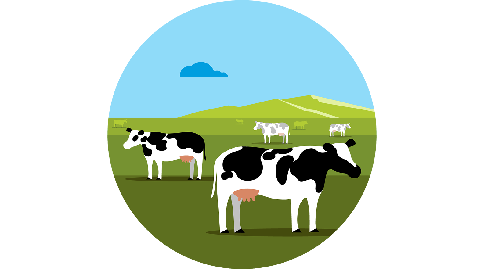whey renewable natural gas matters - illustration of cows