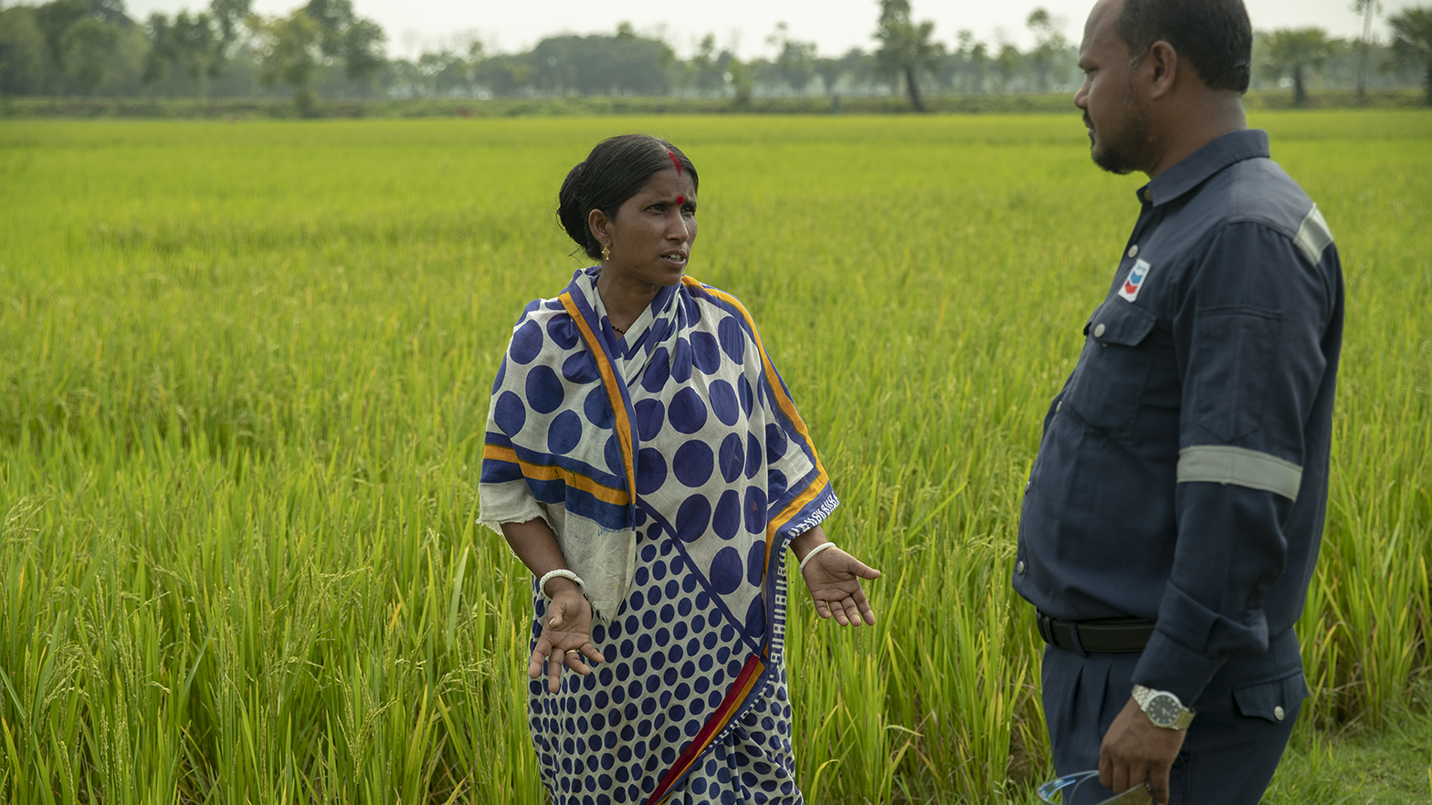 We support Bangladeshi farmers through an initiative to help them diversify and grow their income