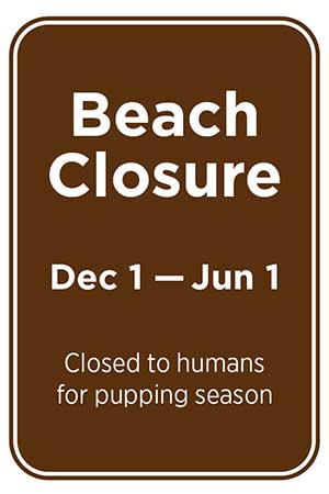 sign that reads beach closed to humans