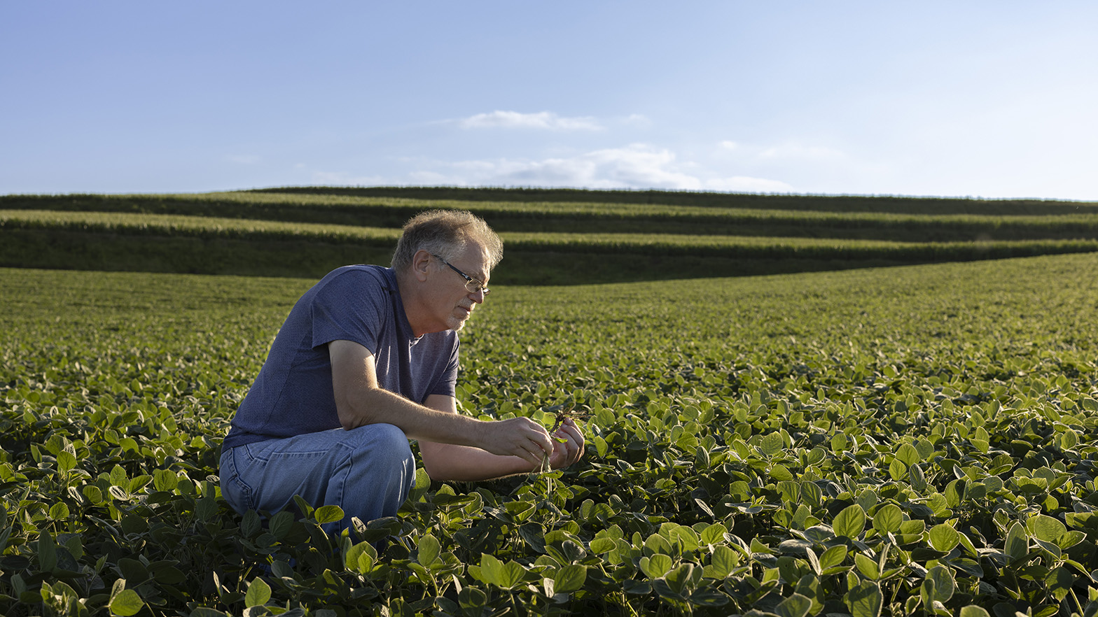 Lucke, who examines a crop of soybeans on his farm in Persia, Iowa, brings a deep passion for agriculture to his work with Chervon REG.
