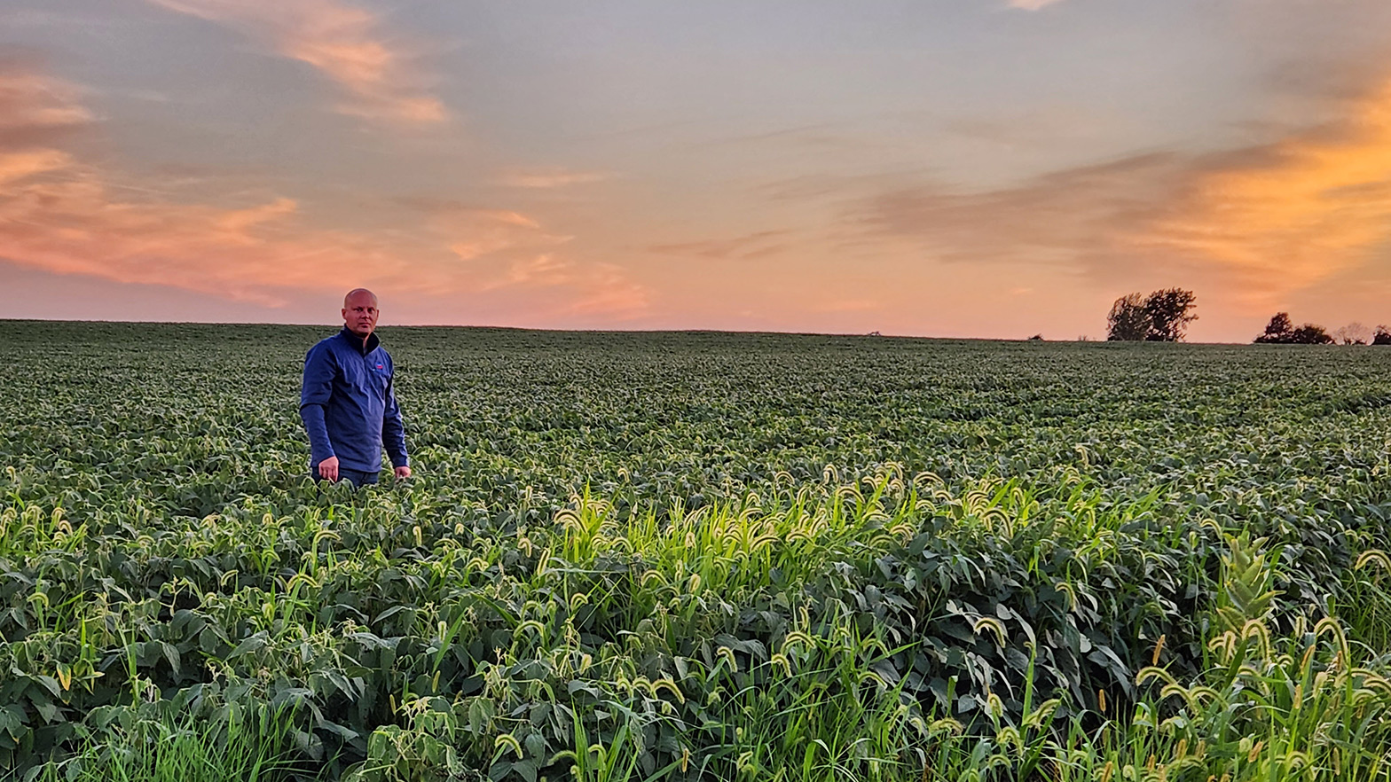 Nees, pictured in a soybean field, says the industry is seeing renewable fuels production ramp up with demand.
