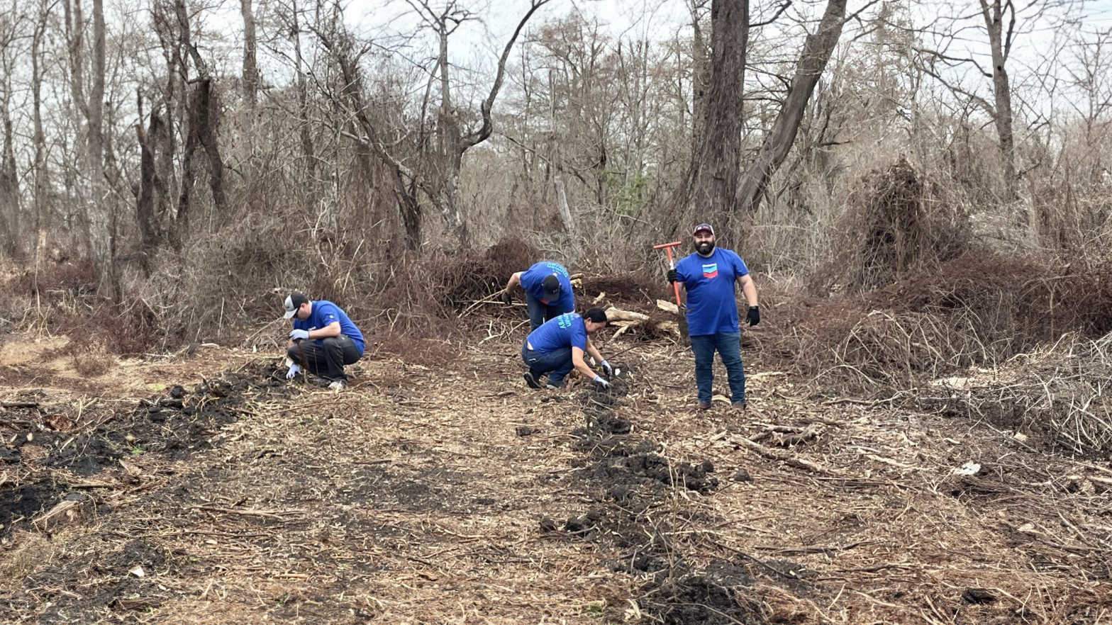 Chevron volunteers planted seedlings and trees at the Woodlands Conservancy to help restore an area damaged by recent hurricanes.
