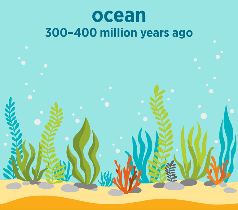 illustration: ocean 300-400 million years ago