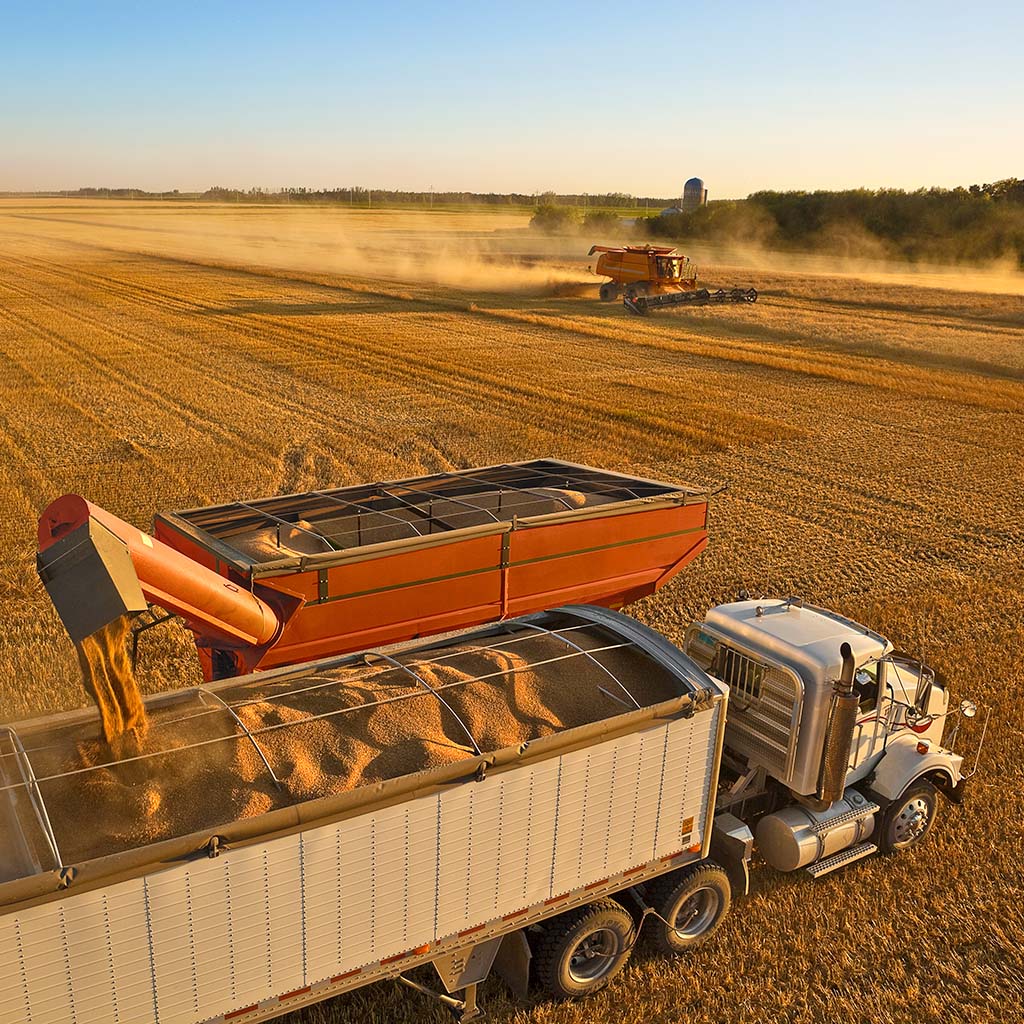 Heavy-duty equipment cultivates a vast patch of undeveloped farmland on a bright day