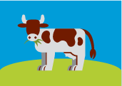 Single California dairy cow