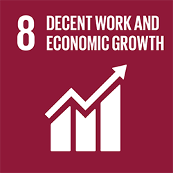 Goal 8: decent work and economic growth