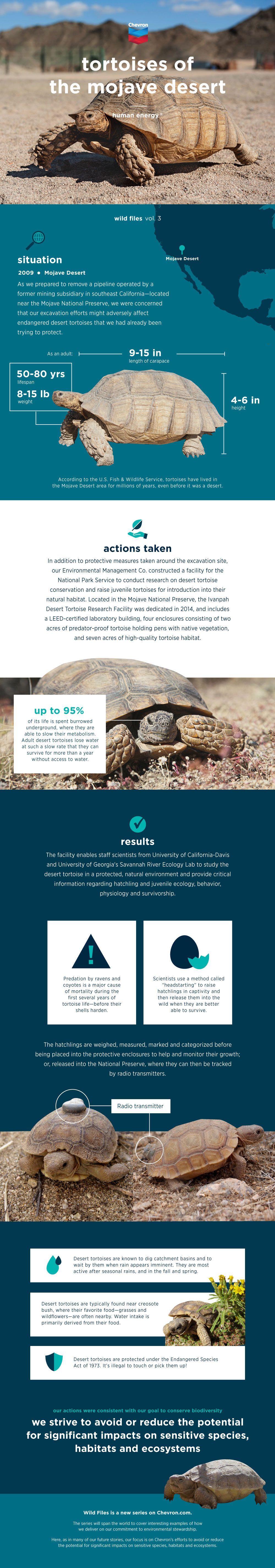 Wild Files: Protecting an Endangered Species of Tortoises in the Mojave Desert