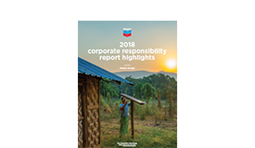 Corporate Reponsibility 2018 icon