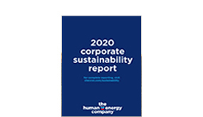 Corporate Sustainability Report 2020 icon