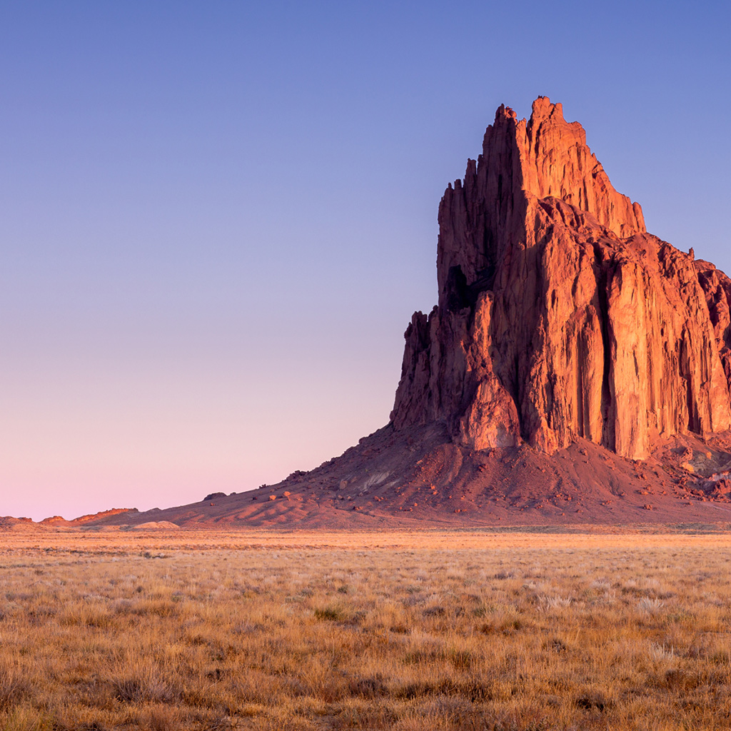 accordial item image 0